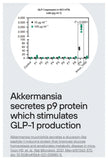 IGP - Synbiotic ( Pre - order 2 - 3 weeks until postage) Sold out previously in 2 hours!